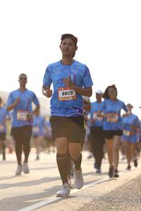 BIB: 8829
                            <button type="button" onclick="openModal(3105008)" class="btn btn-primary btn-sm float-right btn-popup" data-toggle="modal" data-target=".modal-high-quality">
                        <i class="fas fa-shopping-cart"></i> Add to Cart
                    </button>
                                            <button type="button" onclick="isThisMe(3105008, true)" class="btn btn-success btn-sm float-right btn-popup btn-isme hidden" data-toggle="tooltip" data-placement="bottom" title="นี่คือรูปของคุณใช่ไหม คลิกที่นี่เพื่อเอาเข้าอัลบั้ม">
                        <i class="fas fa-plus"></i> Add to album
                    </button>
                    <button type="button" onclick="isThisMe(3105008, false)" class="btn btn-warning btn-sm float-right btn-popup btn-isnotme hidden">
                        <i class="fas fa-ban"></i> Remove from album
                    </button>